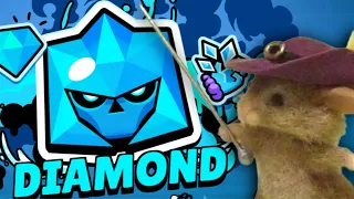 نتدرب على بطولة بكرا   بداية موسم جديد دندنها