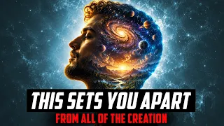 What Separates Humans From the Rest of Creation?