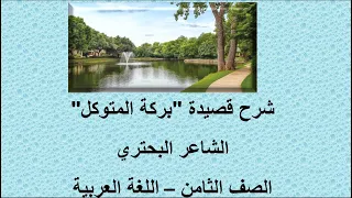 قناة لقمان التعليمية شرح قصيدة بركة المتوكل الصف الثامن اللغة العربية التعليم الأساسي 