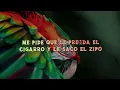 Omar Camacho & Rey Quinto - Parka (Lyrics/Letra)