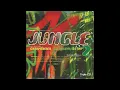 Download Lagu Grooverider x LTJ Bukem x DJ Rap - Fantazia Takes You Into The Jungle (Drum \u0026 Bass, Jungle) (1994)
