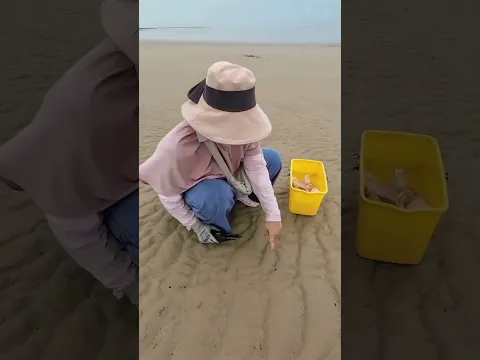 Experimen masukkin telur kedalam lubang pasir di pantai. kira2 keluar apa ya...!?