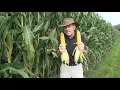 Corn School Planting Depth Lessons
