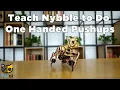 Teach Nybble Robot Cat One-Handed Push-Ups Beginner s Guide to Quadruped Robotics Petoi