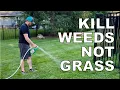 Kill weeds not grass Creeping Charlie crabgrass and clover Summer weed control made easy