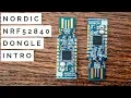 Nordic nRF52840-Dongle 2 4GHz RF Development Board Intro Programming Examples