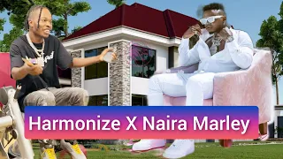 harmonize feat naira marley official music video