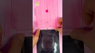 Making New IPad Pro Pink With AirPods Apple Pencil Case 