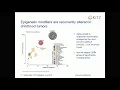 Download Lagu E11.1  The landscape of genomic alteration across childhood cancers
