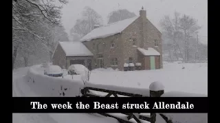 the beast from the east allendale documentary 2018