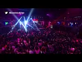 Libido fragil el vivo el jammin
