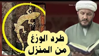 الرسول يعلمنا الطرق الصحيحة  لطرد الوزغ من المنزل       دندنها
