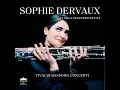 Bassoon Concerto in C Minor, RV 480: I. Allegro