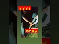 Download Lagu zila sonipat #trending #haryanvi #viral #youtubeshorts #ytshorts #sidhumoosewala