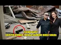 Download Lagu MENGEJUTKAN ❗WANITA INI BONGKAR RAHASIA HUBUNGAN SAHRONI DAN NAFA, ADA SUARA ANEH DALAM KAMAR❓