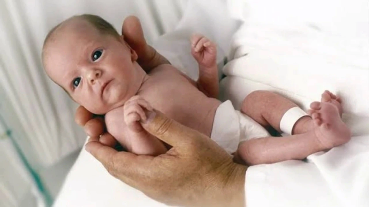 Manfaat jagung untuk ibu hamil dan calon bayi sebenarnya sangat banyak sekali. Hanya saja belum bany. 