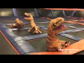 Jumping at SkyZone Riverside