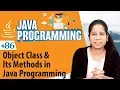 Object Class and Its Methods in Java - Inheritance in Java Programming Language