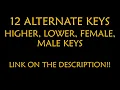 Would've Could've Should've Karaoke - Taylor Swift Instrumental Lower Higher Male Original Key