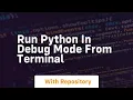 run python in debug mode from terminal