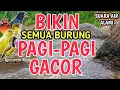 Lagu AUTO GACOR‼️ 1 Jam Suara Air Sungai Alami Bikin Semua Burung Buka Paruh, Terapi Stres \u0026 Macet Bunyi