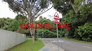 The old bungalows at Malcolm Road-----