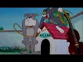Download Lagu ᴴᴰ Tom and Jerry, Episode 26 - Solid Serenade [1946] - P1/3 | TAJC | Duge Mite