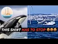 Download Lagu ORCAS Just SANK another SAILBOAT ! What do we do ?