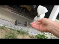 Both mom and cockatoo display remarkable rolling skills... (July '23)