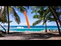 Ehrling - Palm Trees (MJP No Copyright Music)