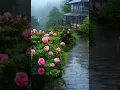 Download Lagu Ye Mausam Ki Barish Slowed Reverb Lofi Song | Barish Aesthetic Status | #aesthetic #barish