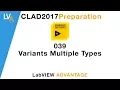 LabVIEW CLAD 039 Variants Multiple Types