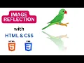 Image Reflection Effect using html and css