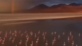 اللهم اهدنا فيمن هديت بصوت مشاري العفاسي دندنها