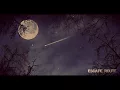 Liza Anne - The Colder Months