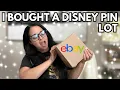 I Bought A Disney Pin Lot On EBAY Disney Pin Collection