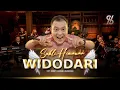 Download Lagu WIDODARI - SAHLI HIMAWAN | Sayang Gondelono Atiku | Orchestra Live Music Video