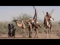 Download Lagu Amazing Mat Tents of North Ethiopia - Danakil Desert Dwellers