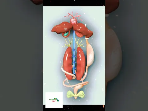 क्यों मेंढक ही काटते थे Biology Practical में? Frog Operation| Frog Dissection #viral #shorts #facts