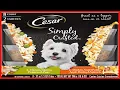 CESAR SIMPLY CRAFTED Adult Soft Wet Dog Food Meal Topper Variety Pack Chicken Carrot Potato