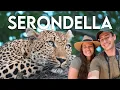 Download Lagu Serondella Safari: Ga een dagje met ons mee naar deze luxe lodge (Greater Kruger VLOG)