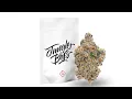 JUNGLE BOYZ ORLANDO STRAIN REVIEW KILL SHOT