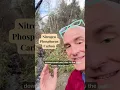 Nutrient Cycling Carbon Nitrogen and Phosphorus in our Environment