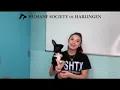 Humane Society of Harlingen offers tips to help keep animals safe during cold weather
