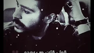 قولي غاب مش فاكره شكلو 