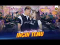 Download Lagu HAPPY ASMARA Feat GILGA SAHID - INGIN TEMU (Official Live Video Royal Music)