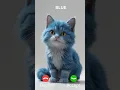 Download Lagu Blue is calling #ringtone #cat #funny #catlover #cats #catvideos