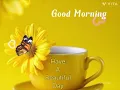 Good Morning Have A Beautiful Day gif What s Up Status Good Morning Wishes