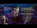 Download Lagu Immense - Torture Banished | Full Stream Album | Indonesia Brutal Death Metal | Brutal Mind 2021