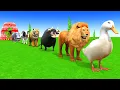 Download Lagu Long Slide Game with Cow Elephant Gorilla Hippopotamus Tiger 3d Animal Game Funny 3d Animals